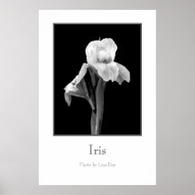 "Iris-" Plakat