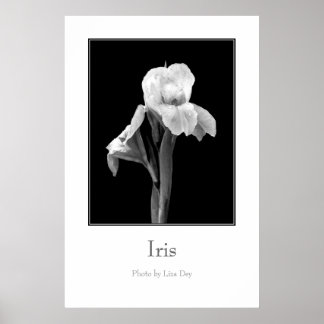 "Iris-" Plakat