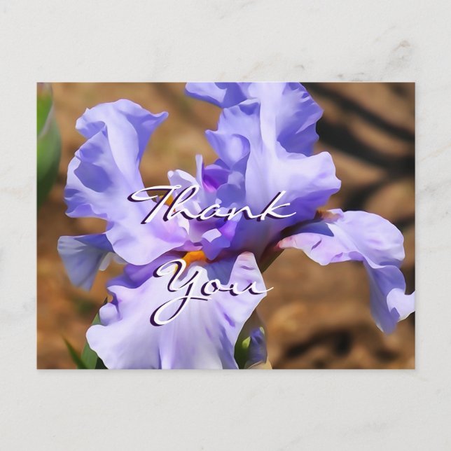 Iris Postcard - passen Sie an jeden Anlass an Postkarte (Vorderseite)