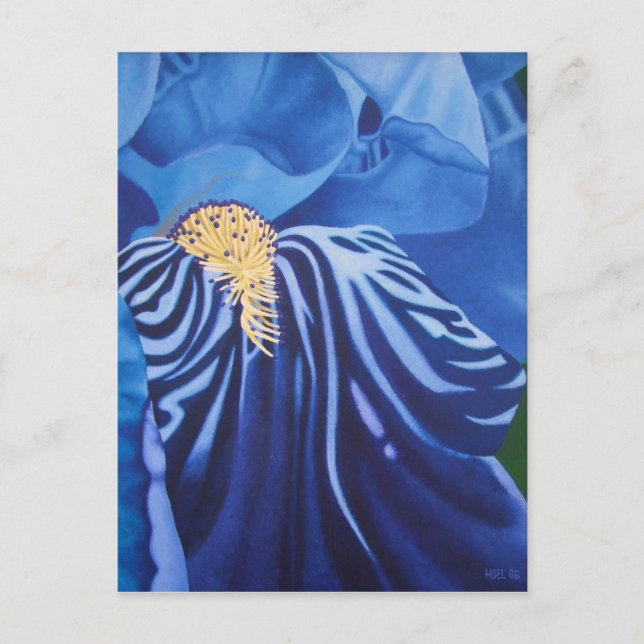Iris Postcard Postkarte (Vorderseite)