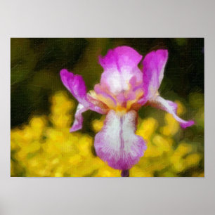 Iris Poster
