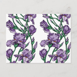 Iris Postkarte