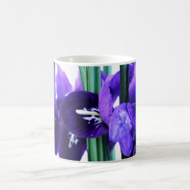 Iris Reticulata Tasse
