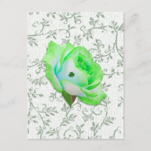 Iris Rose und Kleeblatt! Postkarte (Vorderseite)