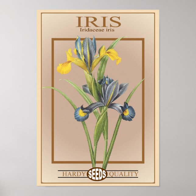 Iris-Samenpackung Poster (Vorne)