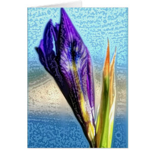 Iris sauvage