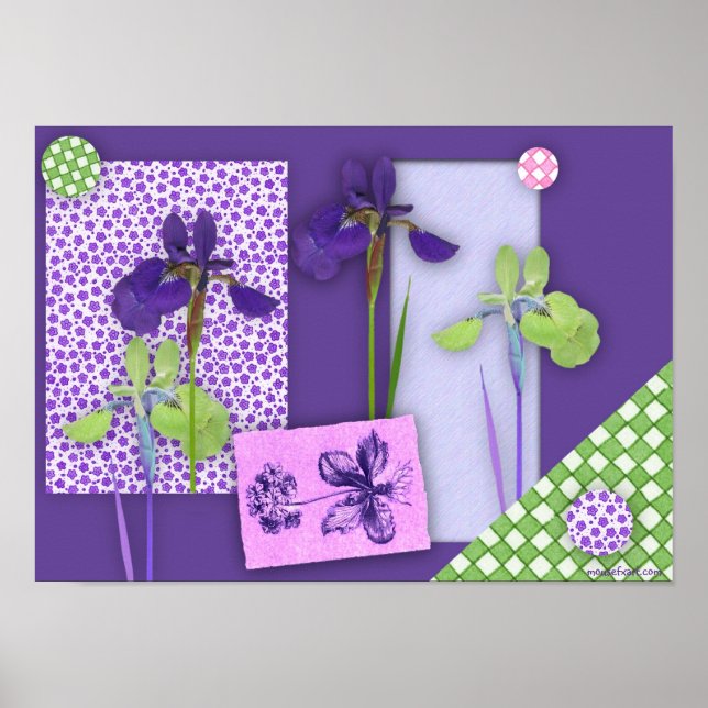 Iris Scrapbook Poster (Vorne)