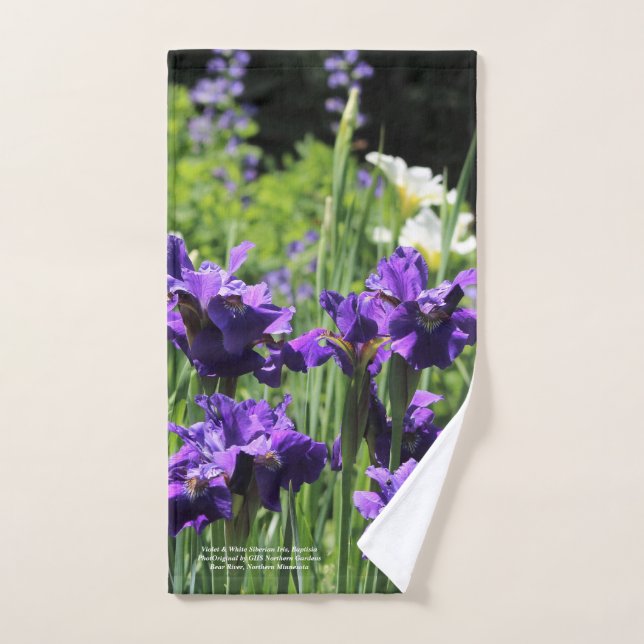 Iris sibérien violet et blanc, Baptisia (Serviette à main)