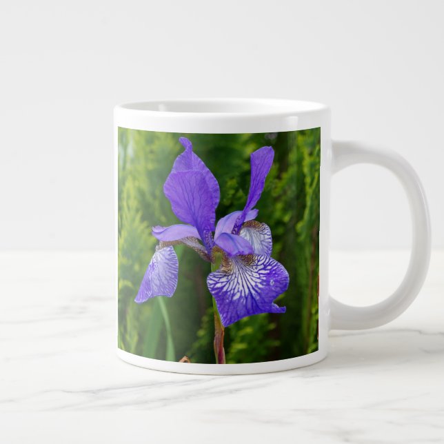 Iris sibirica Blumenfotografie Jumbo-Tasse (Rechts)