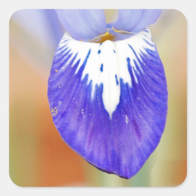 Iris Sticker (Vorderseite)