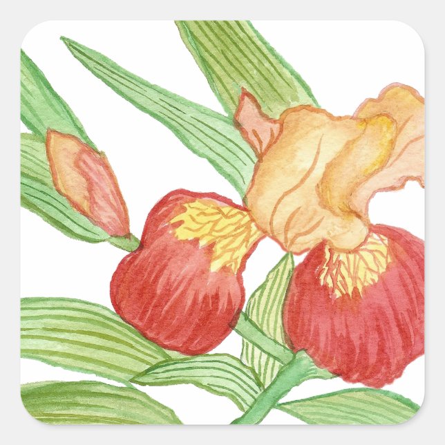 Iris Sticker (Vorderseite)