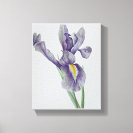 Iris Stretched Canvas Print Leinwanddruck