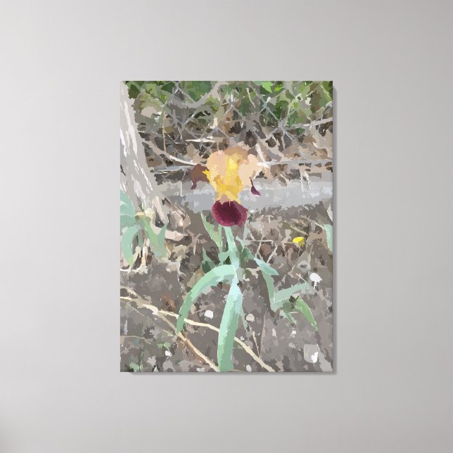 Iris Stretched Canvas Print Leinwanddruck (Vorderseite)