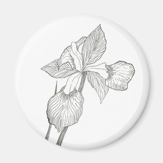 Iris Tinte Magnet (Vorne)