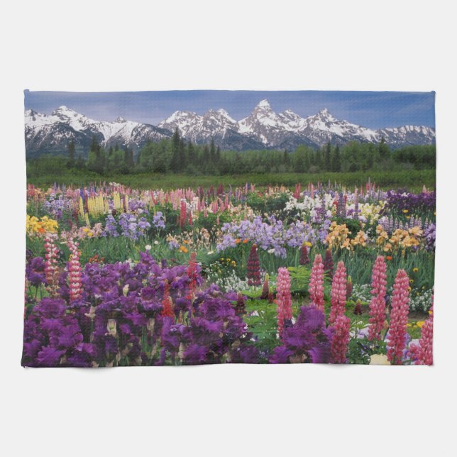 Iris und Lupine Garden und Teton Range, Handtuch (Horizontal)
