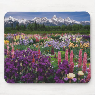 Iris und Lupine Garden und Teton Range, Mousepad