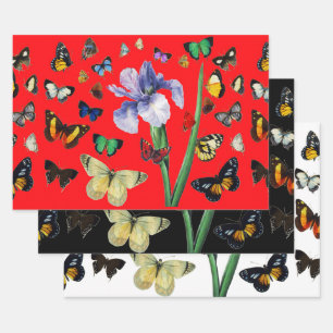 IRIS UNTER DEN FARBHAFTEN BUTTERFLIS Red Black Flo Geschenkpapier Set