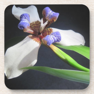 Iris Untersetzer