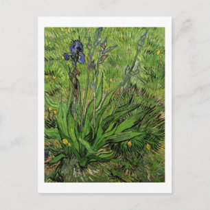 Iris, Vincent van Gogh Postkarte