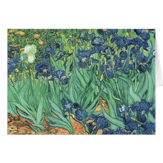 Iris Vincent van Goghs |, 1889 (Vorderseite (Horizontal))
