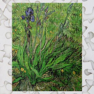 Iris von Vincent van Gogh, Vintage Gartenblumen