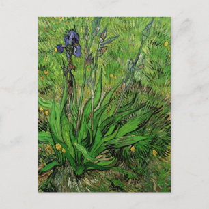 Iris von Vincent van Gogh, Vintage Gartenblumen Postkarte
