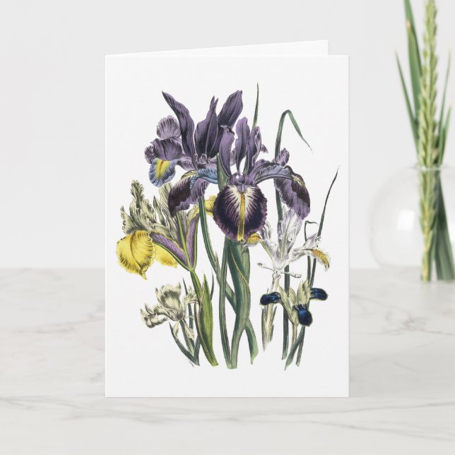 Iris Watercolor Dankeschön Karte (Vorderseite)