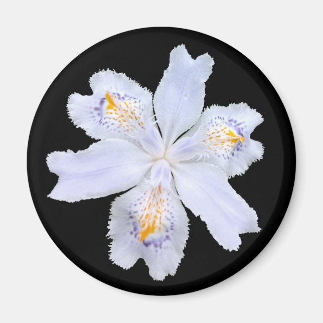 Iris White Magnet (Vorne)