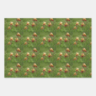 Iris Wrapping Paper Geschenkpapier Set