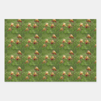 Iris Wrapping Paper Geschenkpapier Set