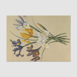 Iris Xiphium (Iris Hispanica) von Arentina Arendse Seidenpapier