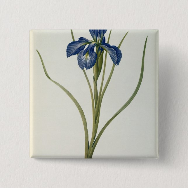 Iris Xyphioides, von "Les Liliacees", 1808 Button (Vorderseite)