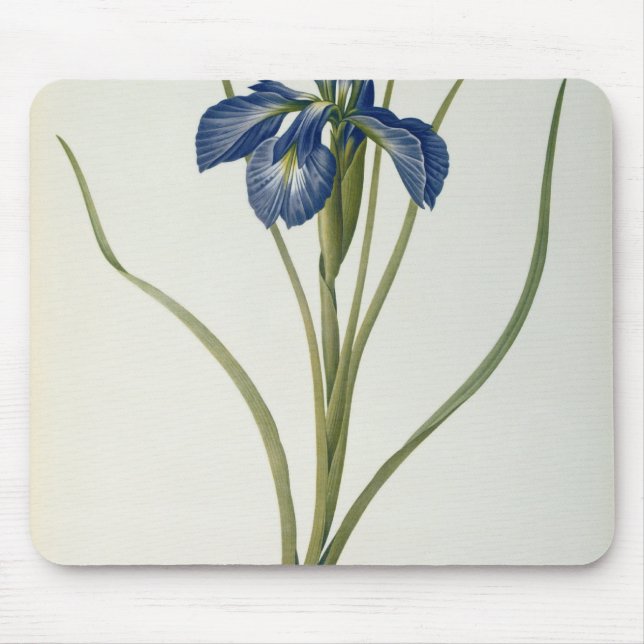 Iris Xyphioides, von "Les Liliacees", 1808 Mousepad (Vorne)