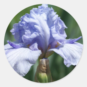Irisblau Runder Aufkleber
