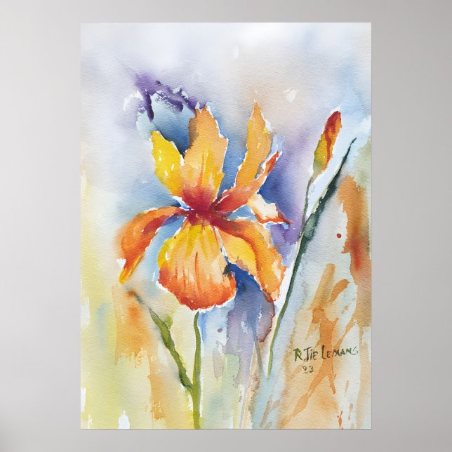 Irisblüte Poster (Vorne)