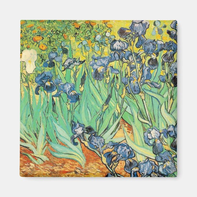 Irisch - Van Gogh - c1889 Magnet (Vorne)
