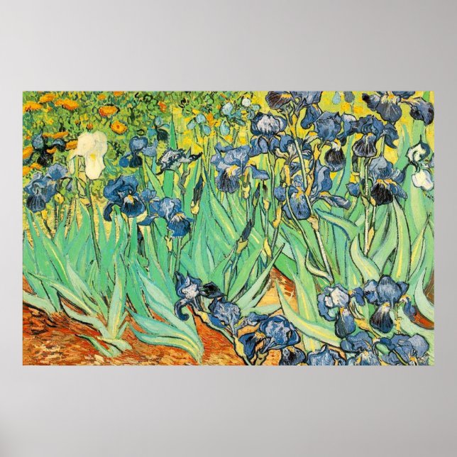 Irisch - Van Gogh - c1889 Poster (Vorne)