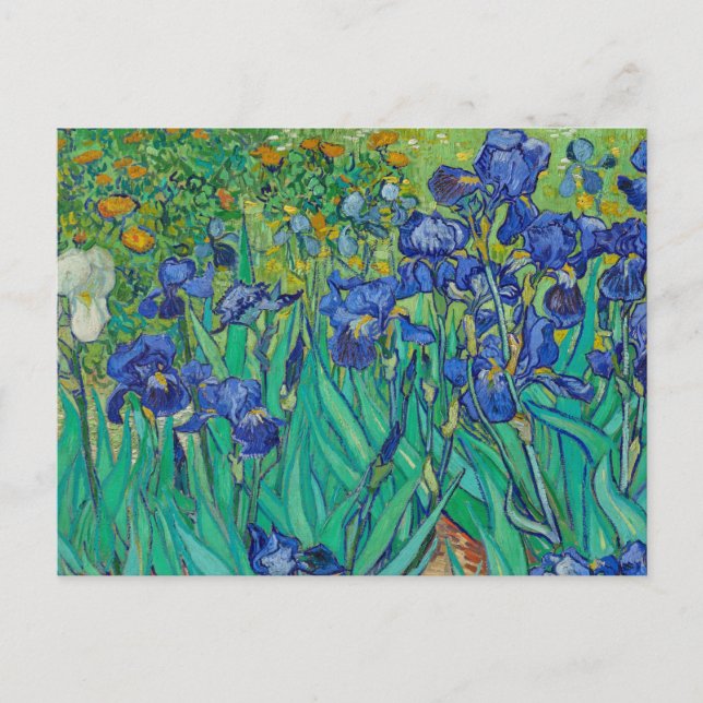 Irisch von Vincent van Gogh Postcard Postkarte (Vorderseite)