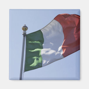 Irische Flagge Magnet