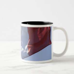 Irische Flagge Zweifarbige Tasse