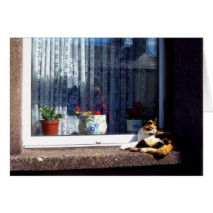 irische Katze auf einer Windowsill-Karte