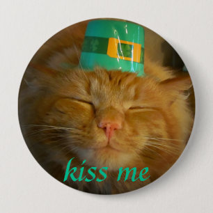 Irische Kobold-Katze will Kuss Button