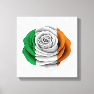 Irische Rosen-Flagge auf Weiß Leinwanddruck