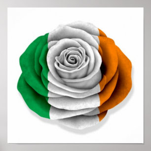 Irische Rosen-Flagge auf Weiß Poster