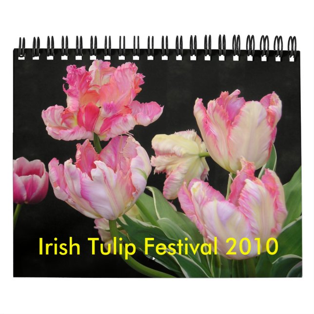 Irischer Kalender des Tulpe-Festival-2010 (Titelbild)
