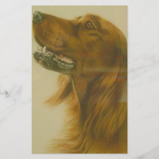 Irischer roter Setzer-Hund Briefpapier