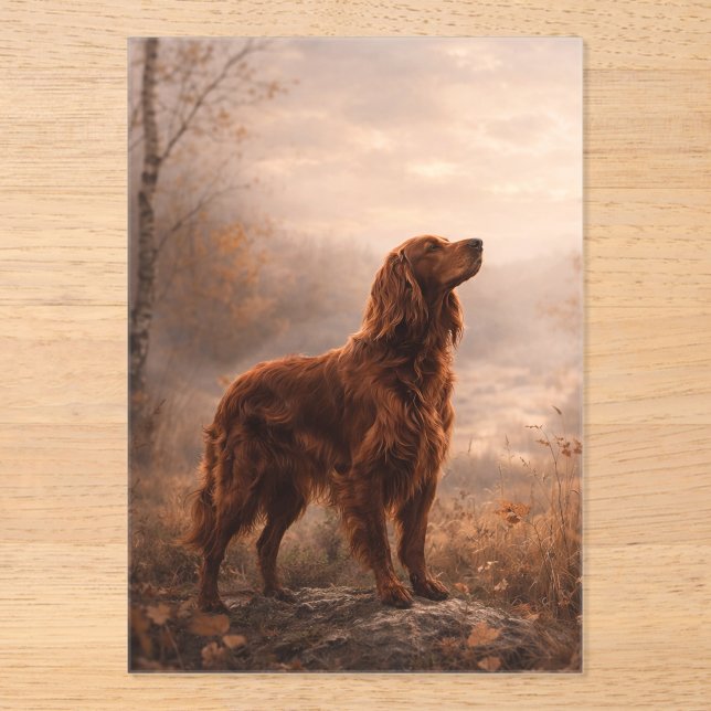 Irischer Setter Acryleinladungen (Vorderseite)