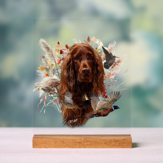  Irischer Setter Acrylschild (Neutral)