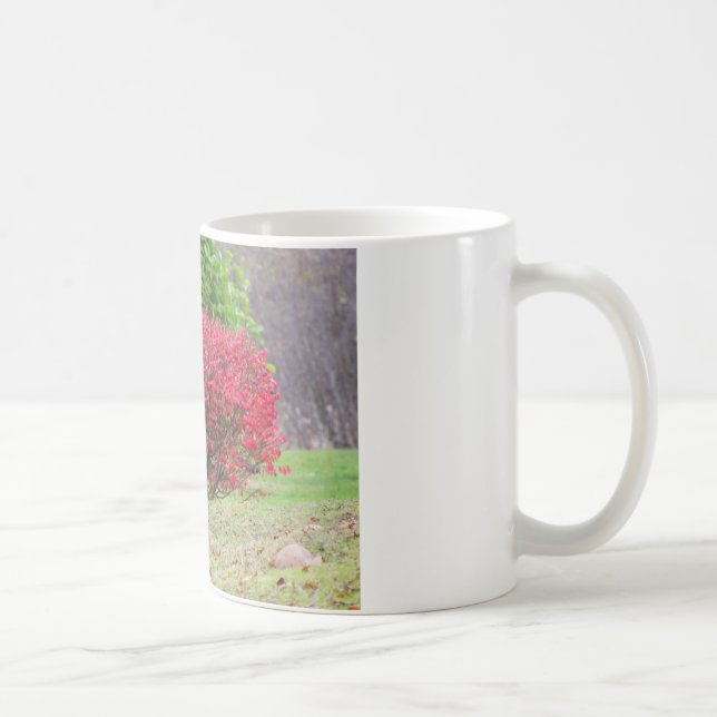Irischer Setter durch einen brennenden Bush Kaffeetasse (Rechts)