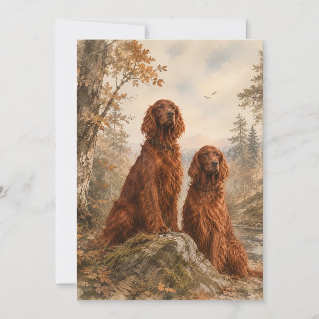  Irischer Setter   Einladung (Vorderseite)